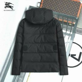 Picture of Burberry Down Jackets _SKUBurberryM-XXL7sn038614